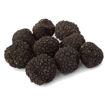 Fresh Burgundy Truffles (Tuber Uncinatum)