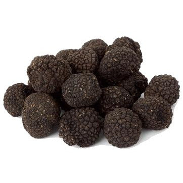 Fresh Burgundy Truffles with Wooden Truffle Slicer (Tuber Uncinatum) - Image 4